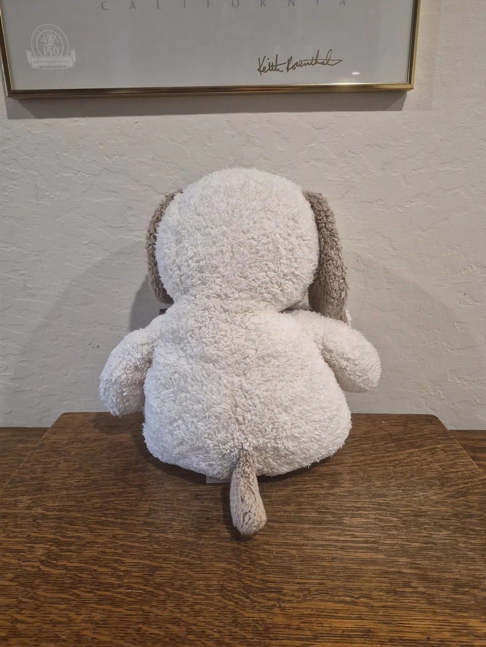 Dan Dee Collector's Choice Valentine's Puppy Dog Plush Stuffed Animal 12